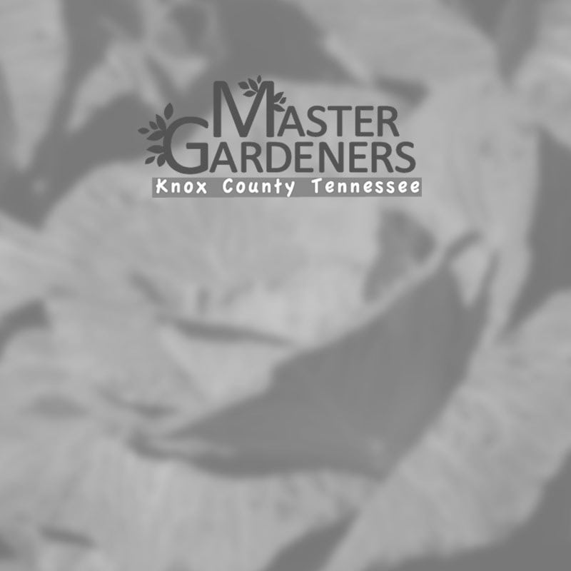 Knox County Master Gardener Knox County Master Gardener