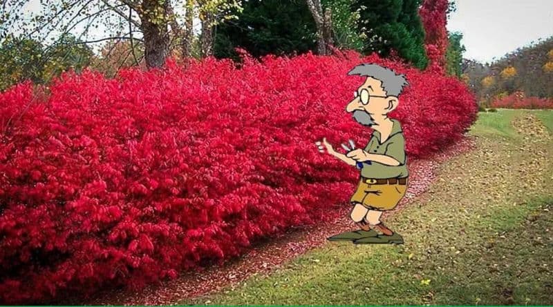 Knox County Master Gardener Knox County Master Gardener