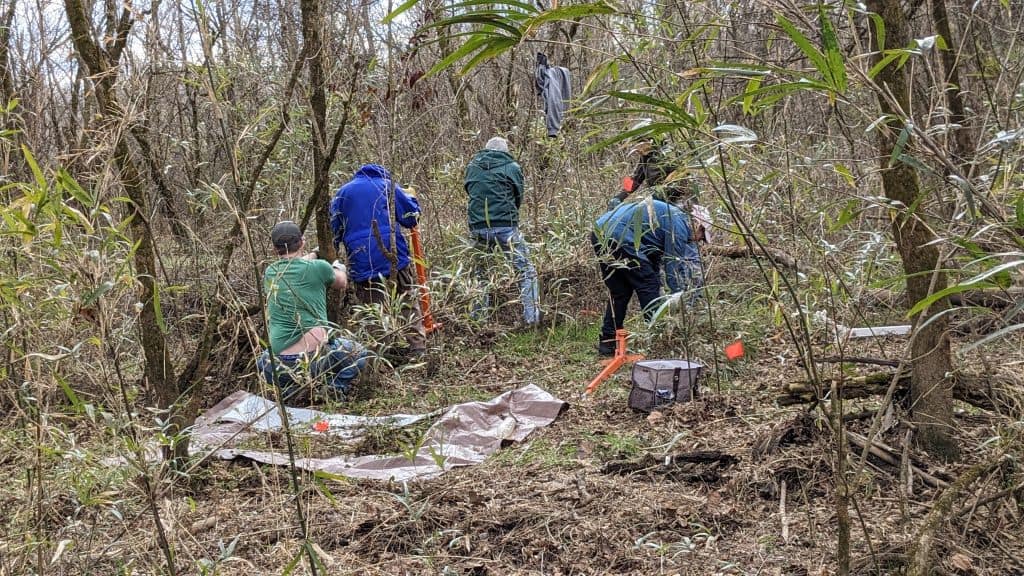 Collier Weed Wrangle