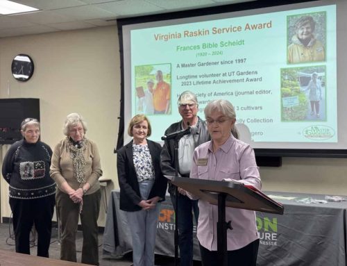 Three Knox County Master Gardeners Receive Top Awards