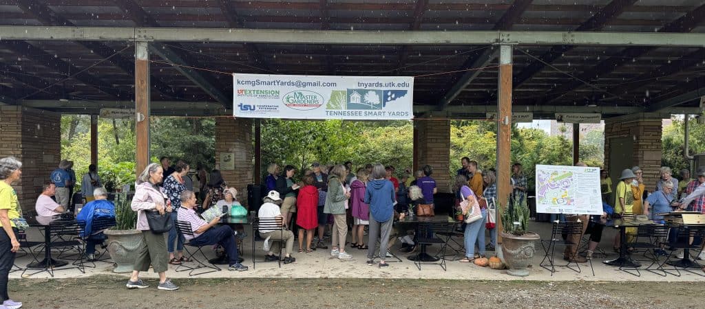 Wide photo of people at the Tennessee Smart Yards Festival